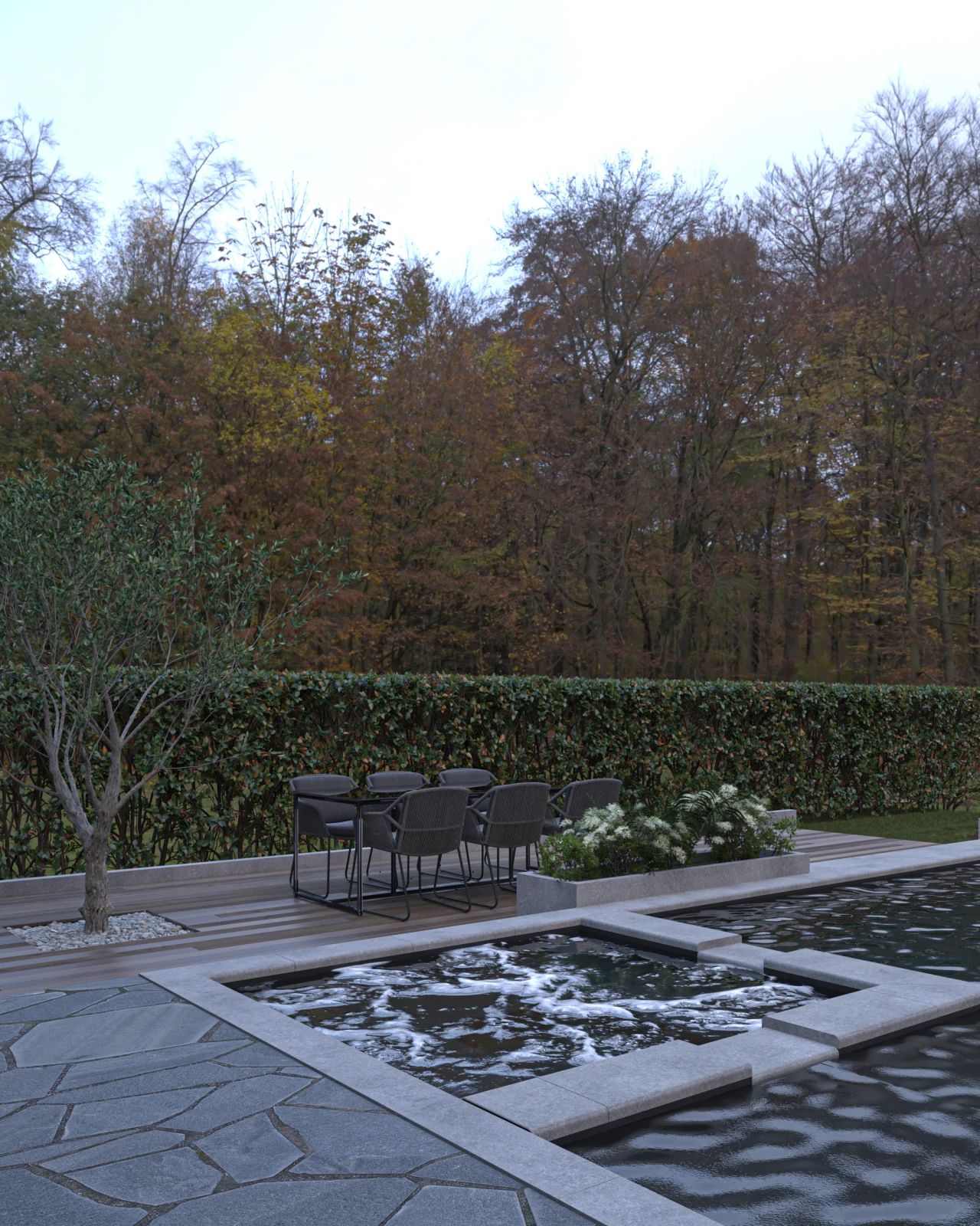 Rendu 3D de l’aménagement extérieur du projet à Hamme, avec piscine, bassin, terrasse en bois, végétation et espace repas dans le jardin.